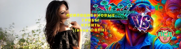 стафф Няндома