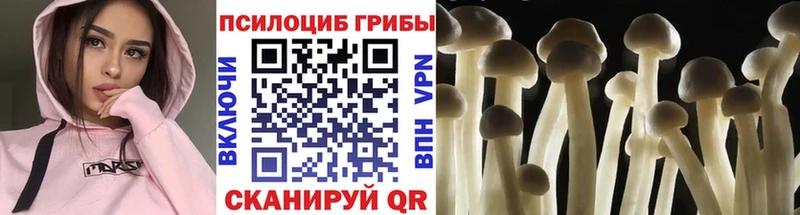 Псилоцибиновые грибы мухоморы  магазин  наркотиков  Ирбит 